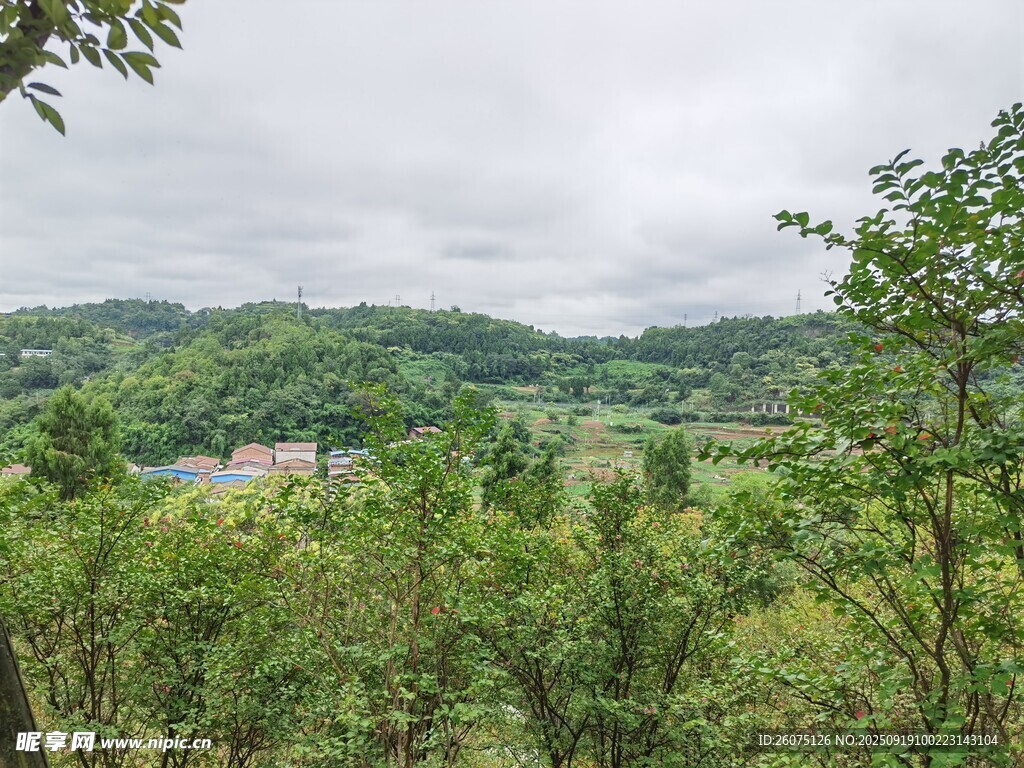 山間綠意盎然的自然景致