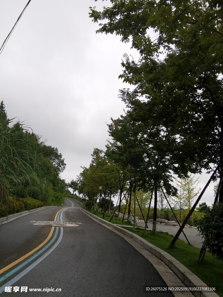 蜿蜒林蔭路靜謐好風(fēng)光