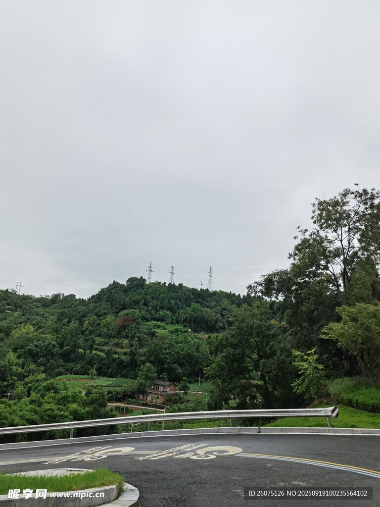 蜿蜒公路旁的蔥郁山林