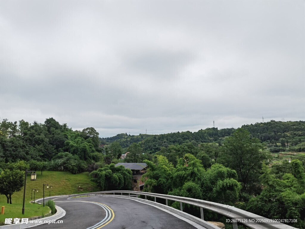 蜿蜒公路旁的蔥郁山林