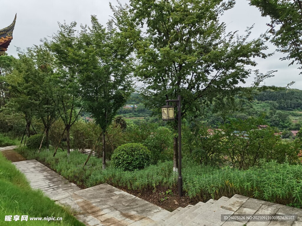 山間小徑旁綠意盎然景致