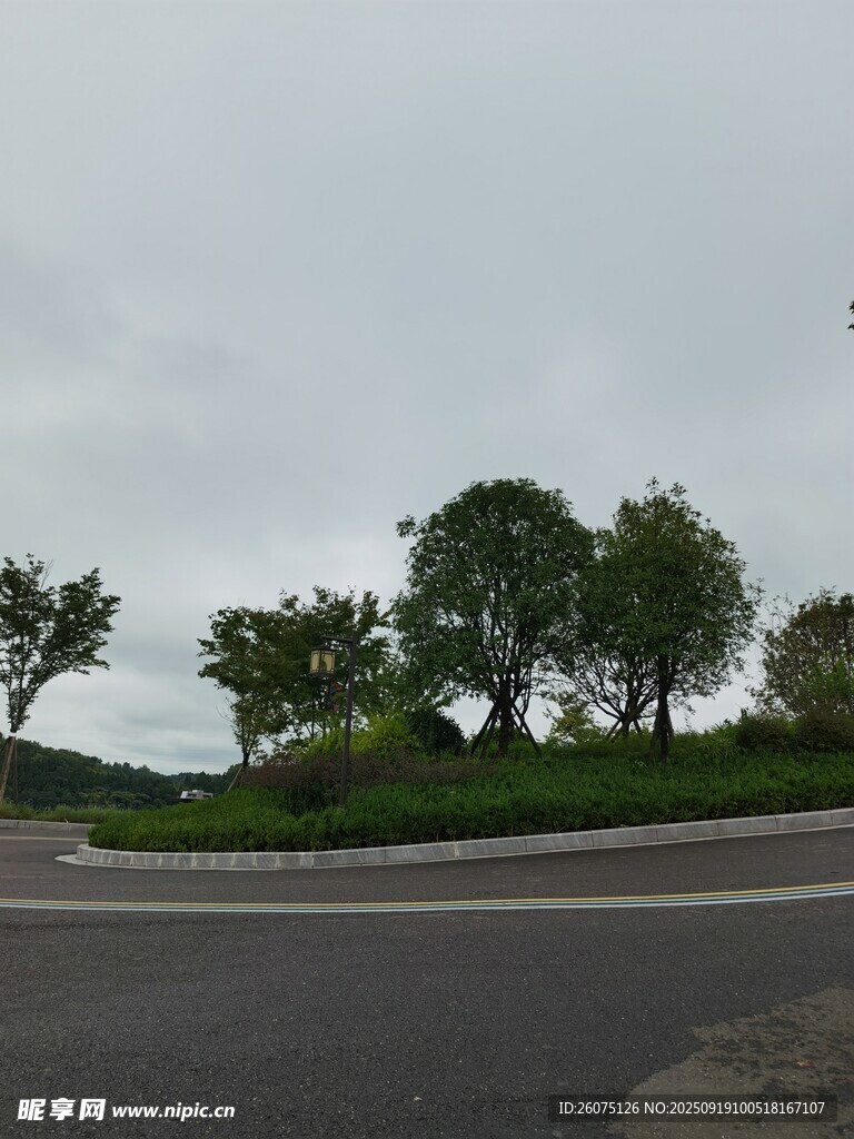 道路環(huán)島綠植景觀