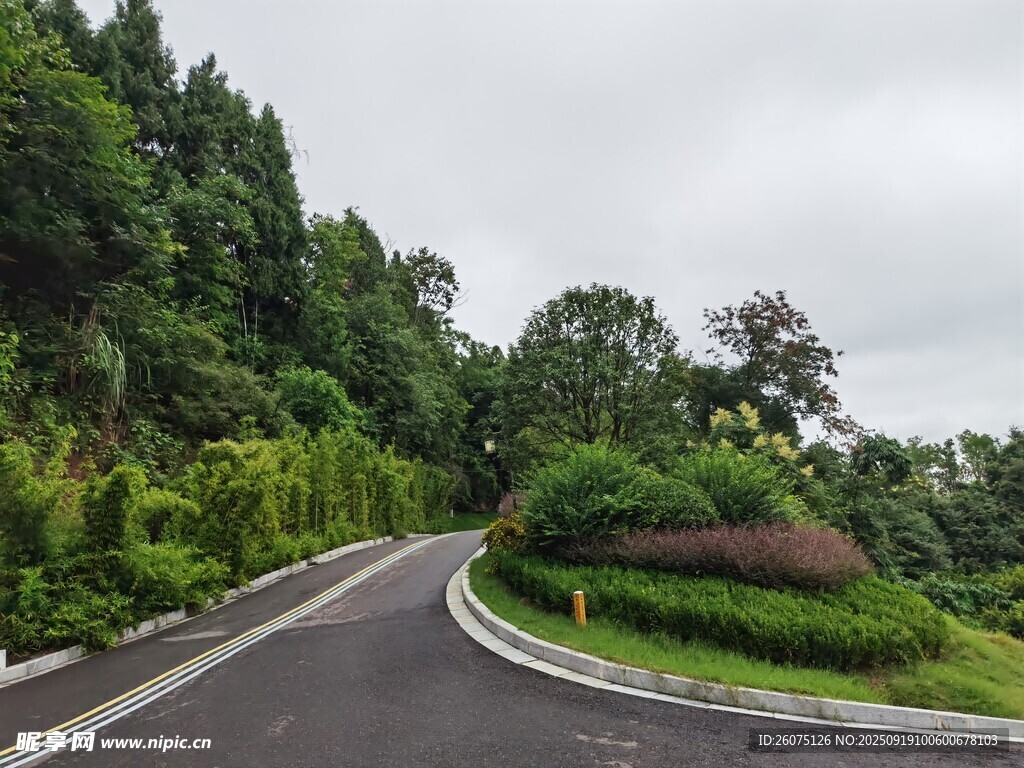 蜿蜒公路旁的蔥郁景致