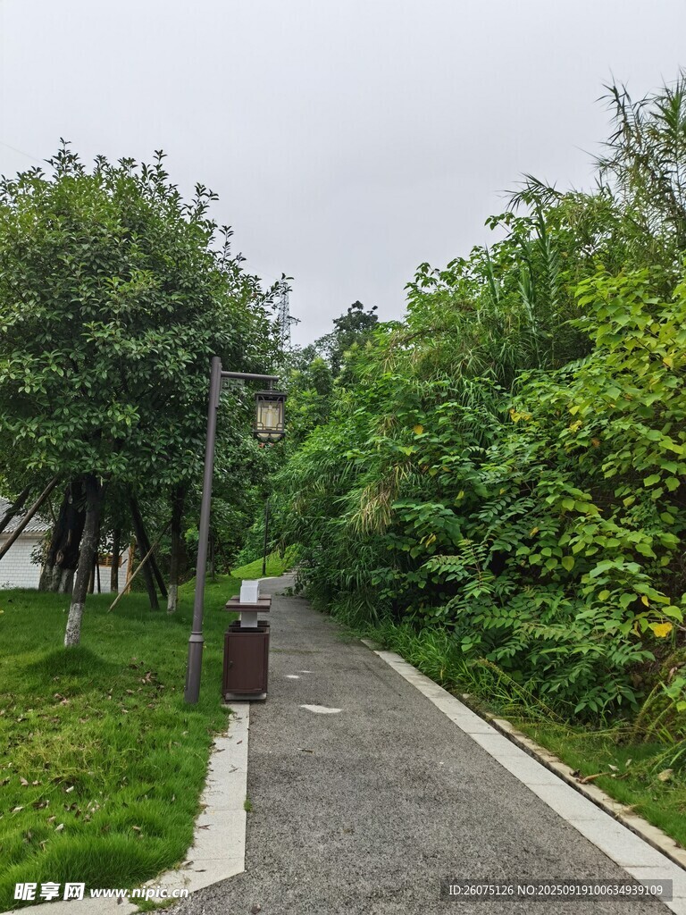 林間幽靜小路