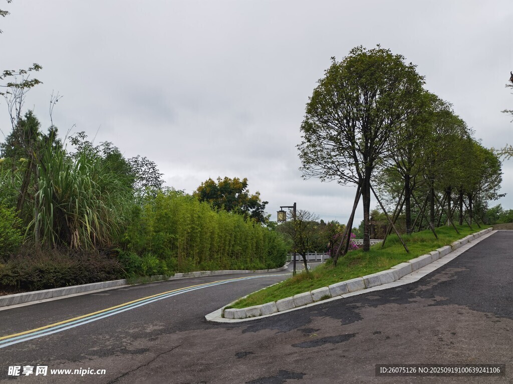 城市道路旁的綠化景觀