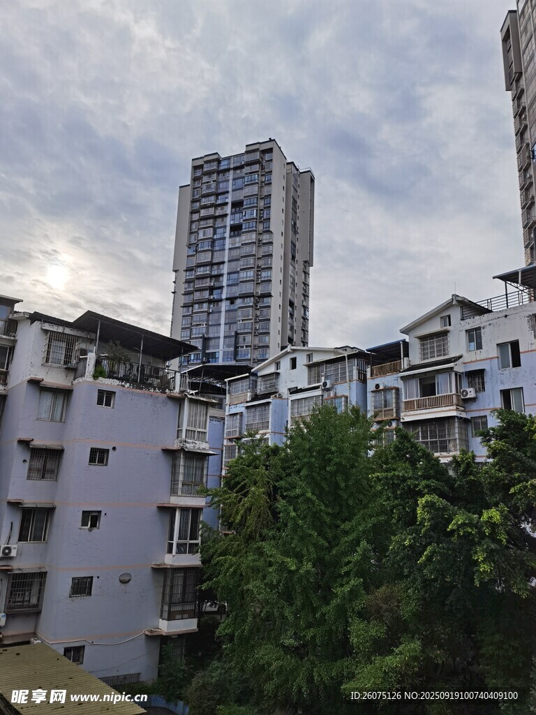 城市住宅區(qū)高樓與綠植景觀