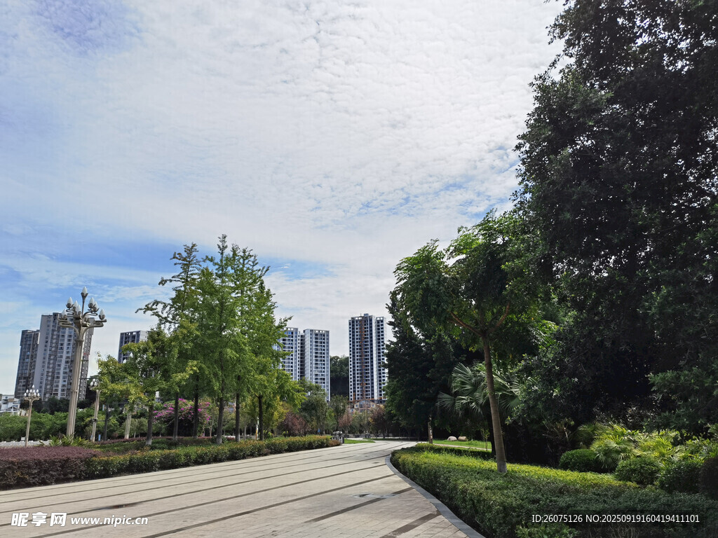 城市林蔭步道景觀