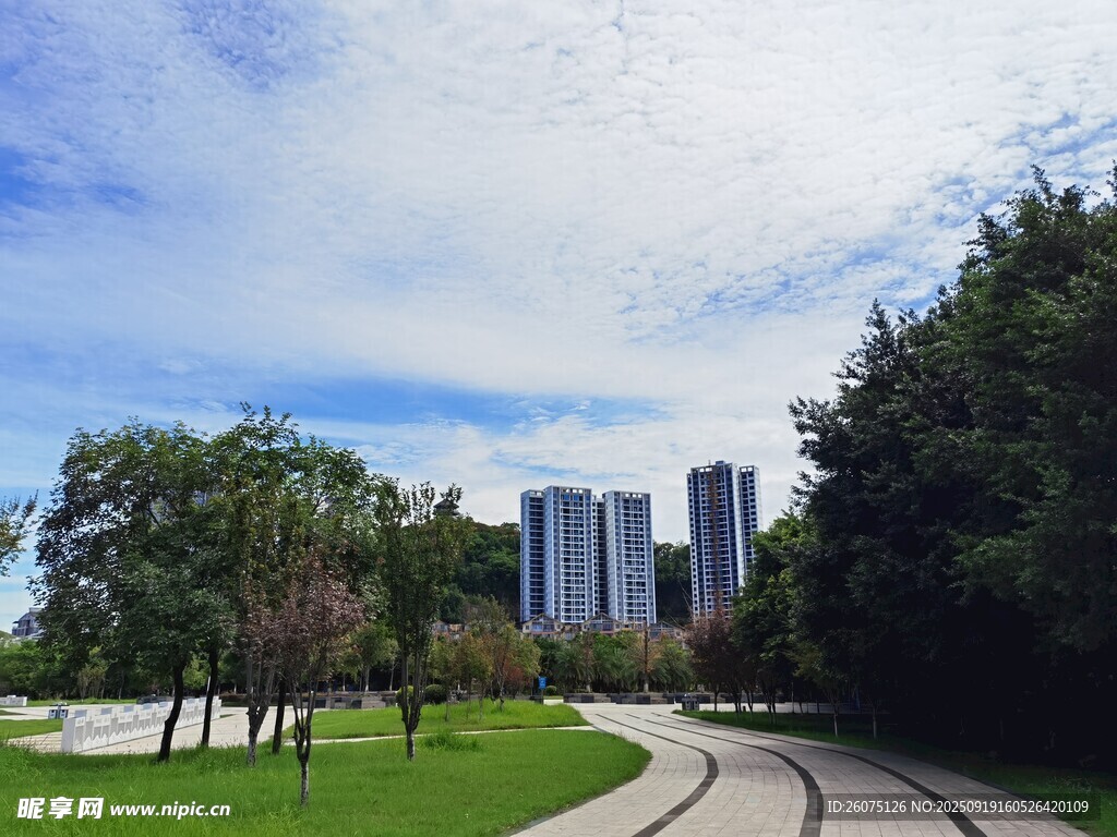 城市公園中的蜿蜒小徑