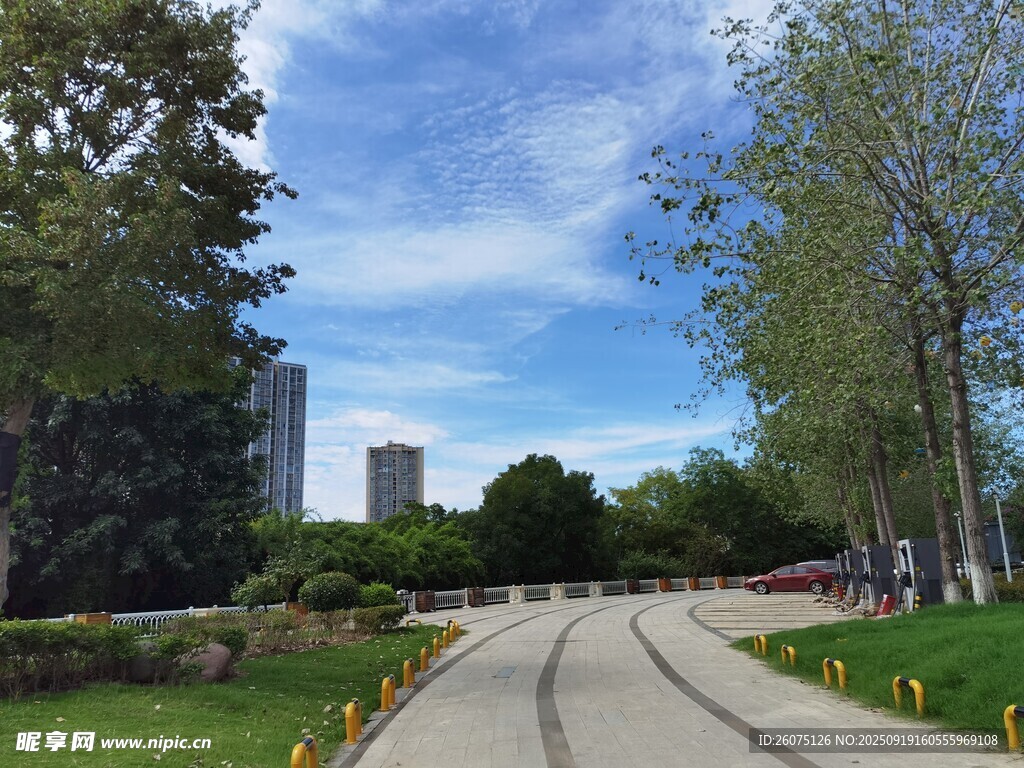 城市中的寧靜林蔭步道