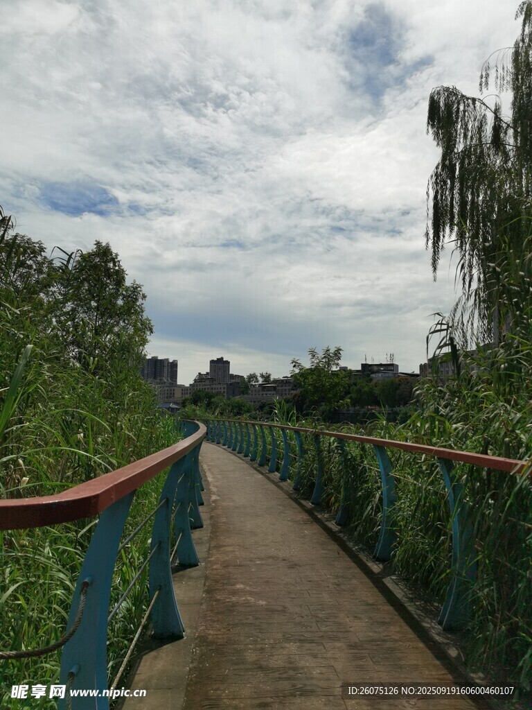 河畔漫步小徑綠意盎然