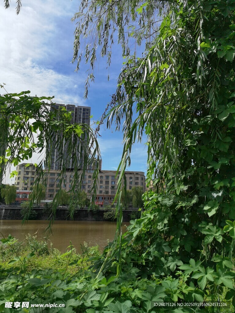 河畔綠植掩映下的城市景觀