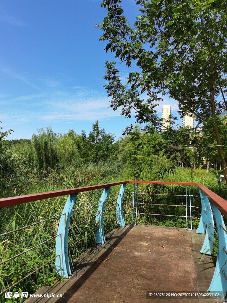 戶外藍欄桿步道風景
