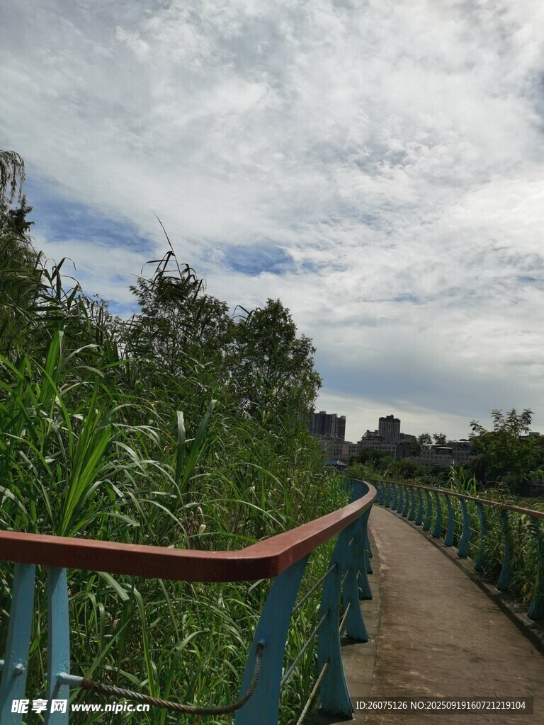 漫步河畔木棧道賞綠植