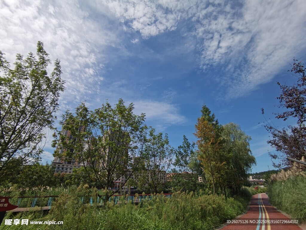 林間紅徑藍(lán)天綠樹景致