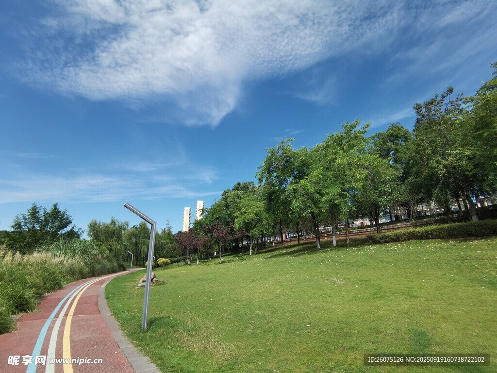 城市中的綠意休閑步道