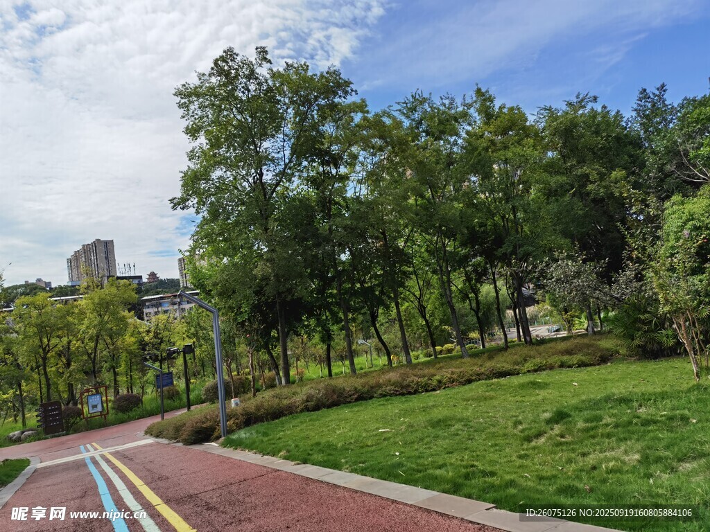 城市公園的多彩步道景觀
