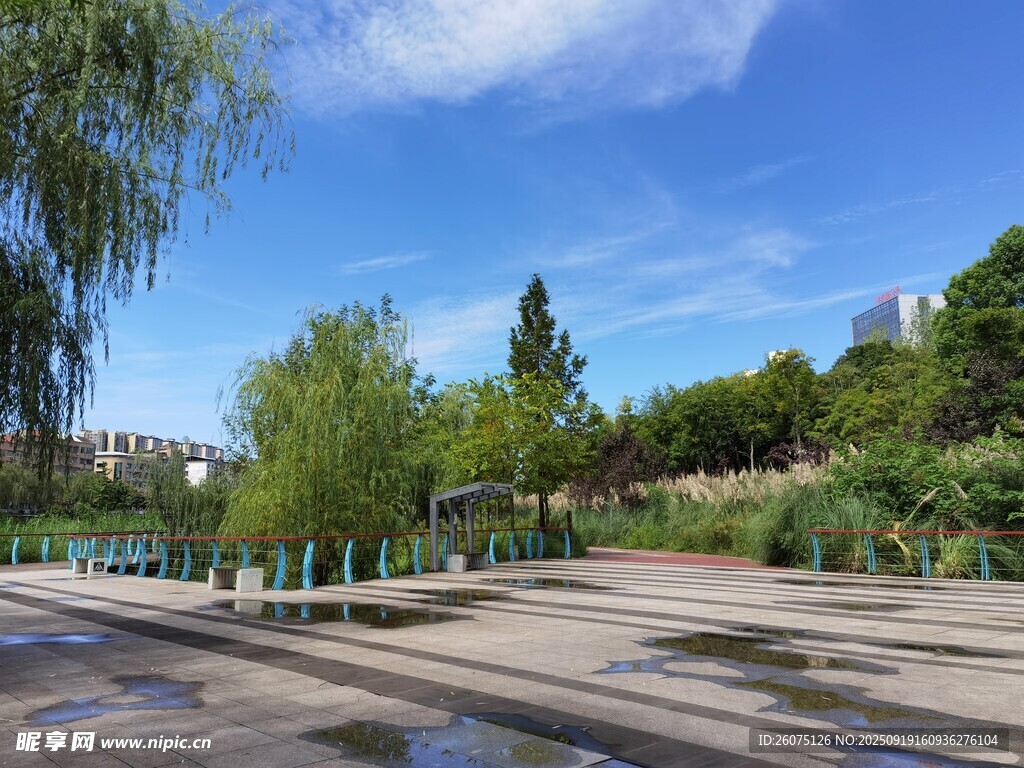 城市公園的開闊休閑場景