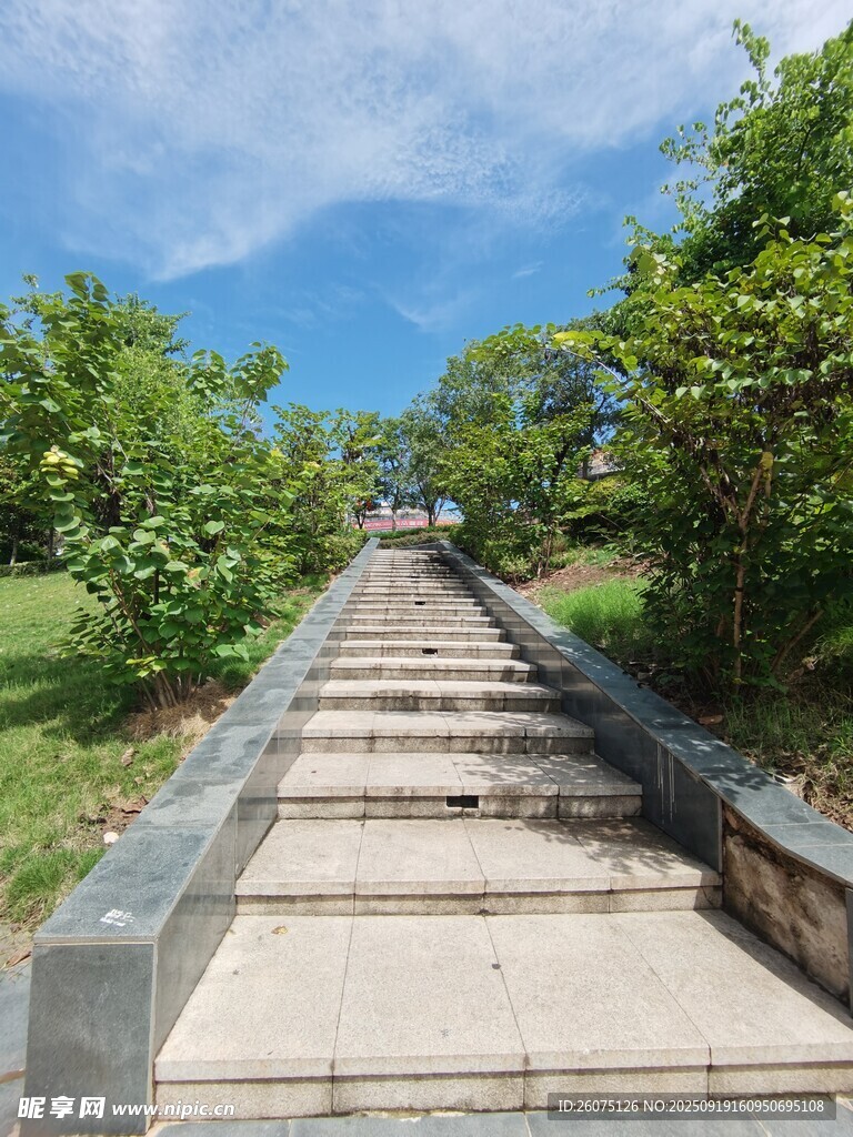 林間石階步道綠意盎然