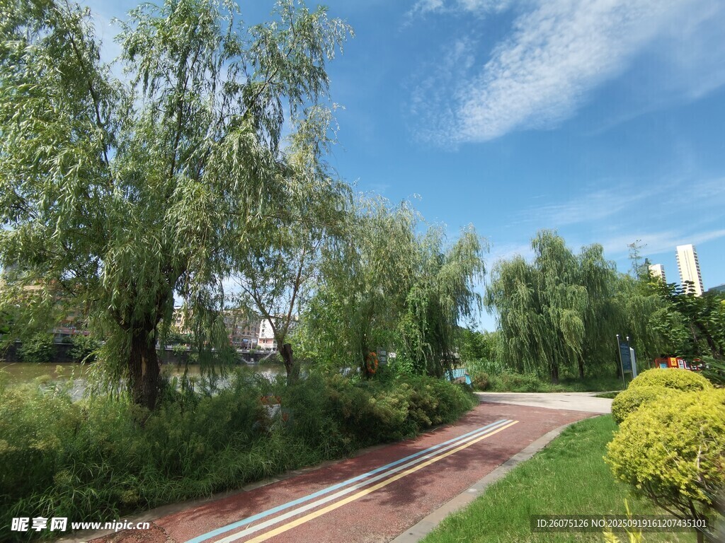 林間小路的清新自然景致