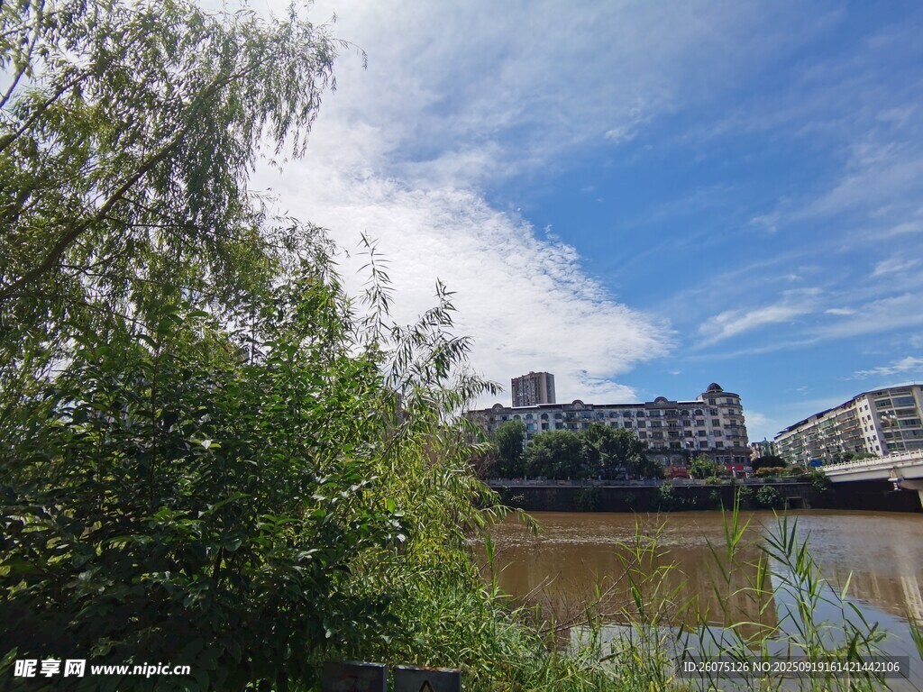 河畔綠樹與遠(yuǎn)處建筑風(fēng)景