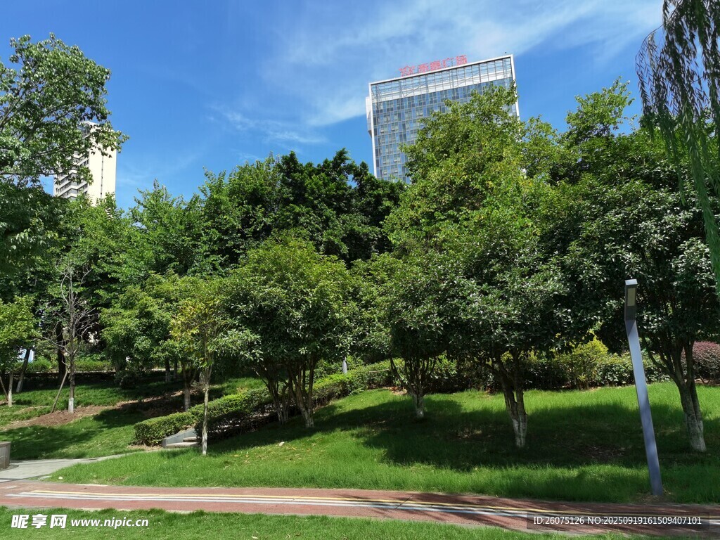 城市中的綠意公園景觀