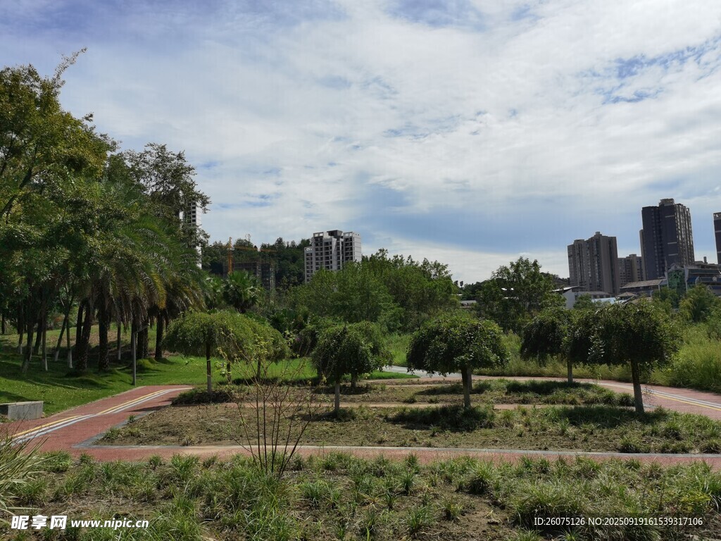 城市中的靜謐園林景觀