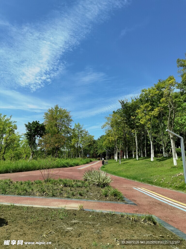 美麗戶外公園景觀小徑