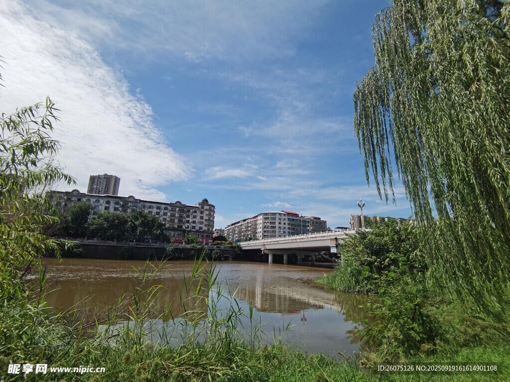 河畔風(fēng)光綠樹環(huán)繞的寧靜景致