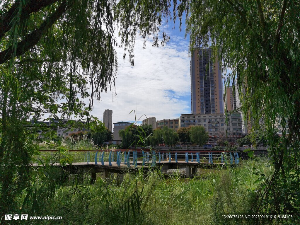城市河畔綠植環(huán)繞景致