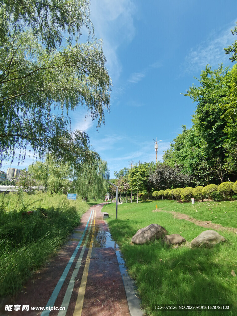 夏日林間彩色步道風(fēng)景