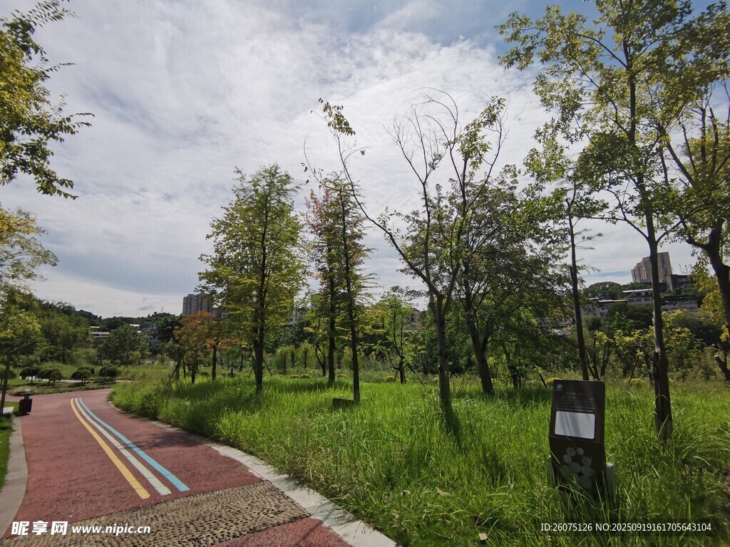 公園中的多彩步道與綠樹