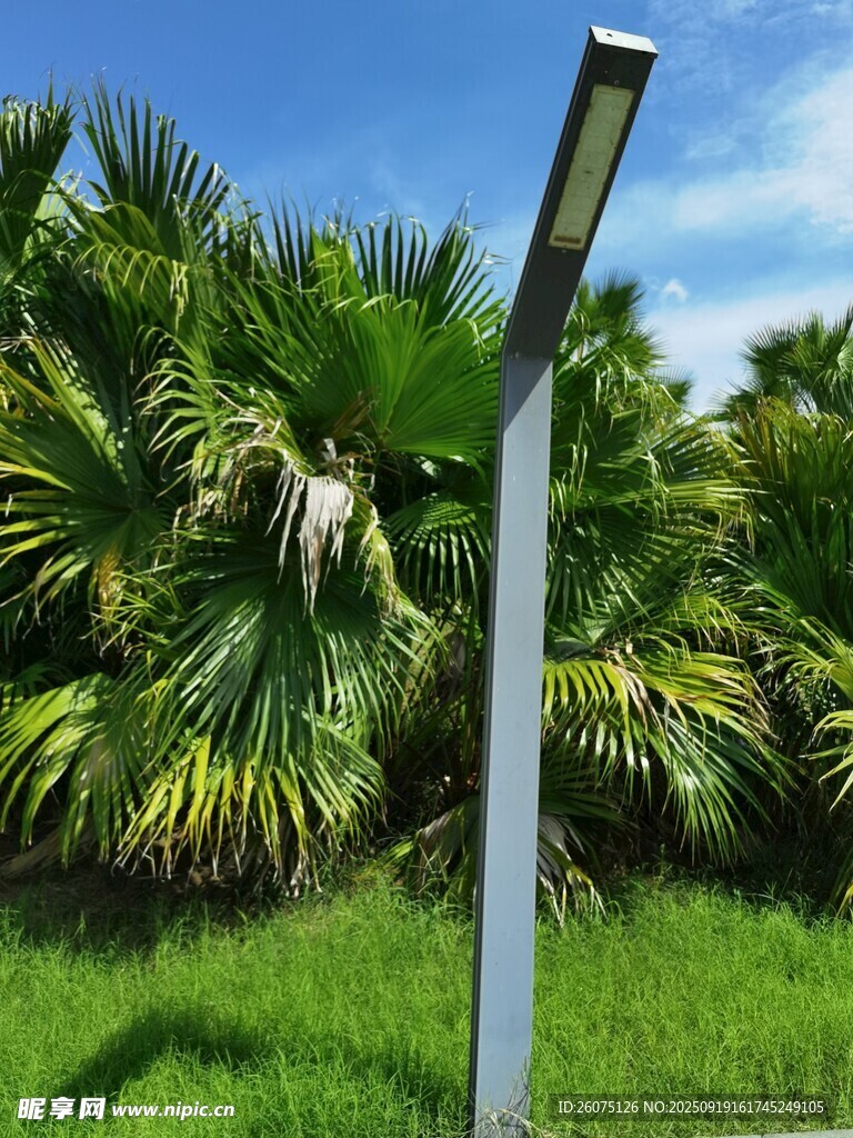 戶外草地旁的金屬燈柱