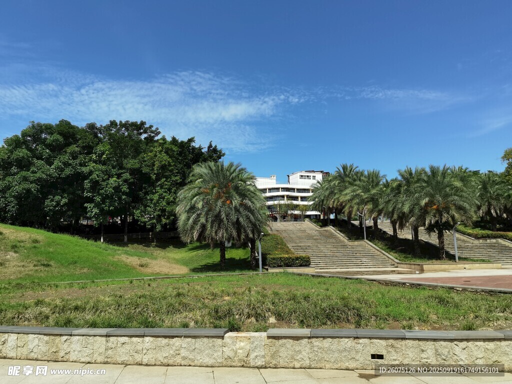 戶外開闊綠地與樹木景觀