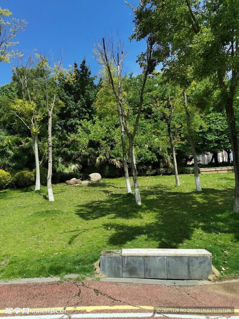 公園綠意盎然的休閑場景