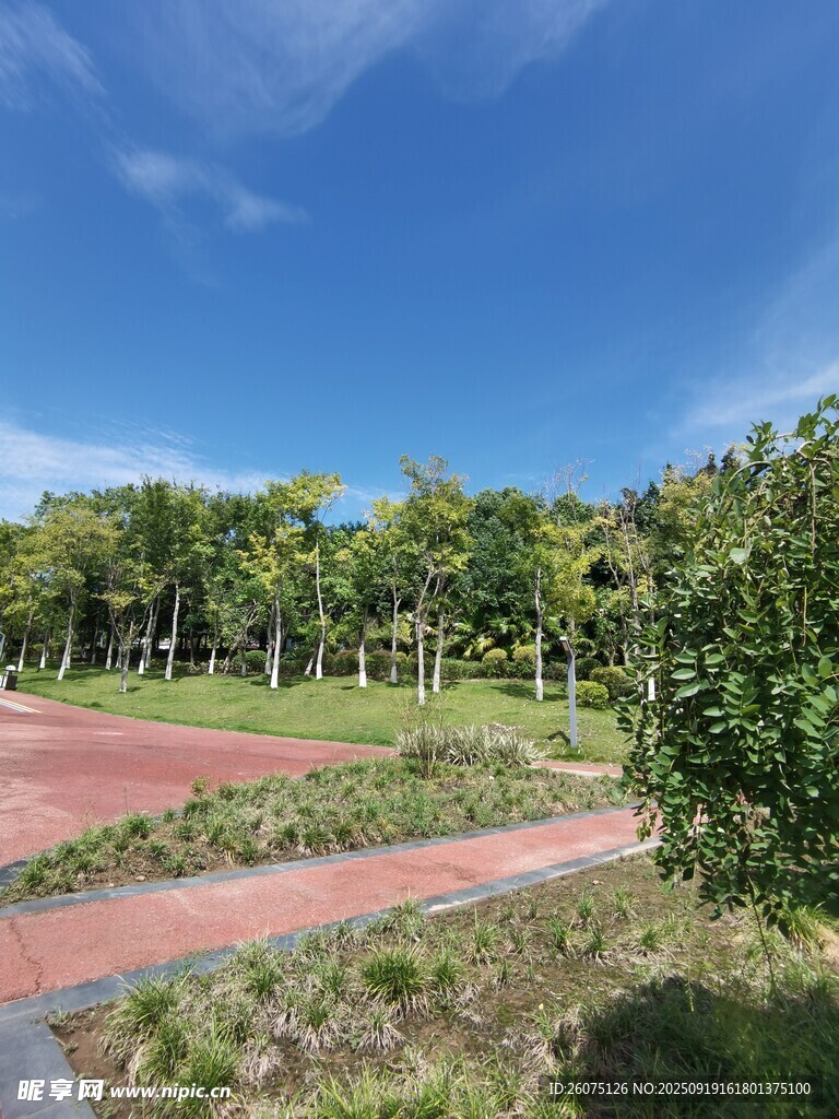 戶外綠意盎然的休閑步道