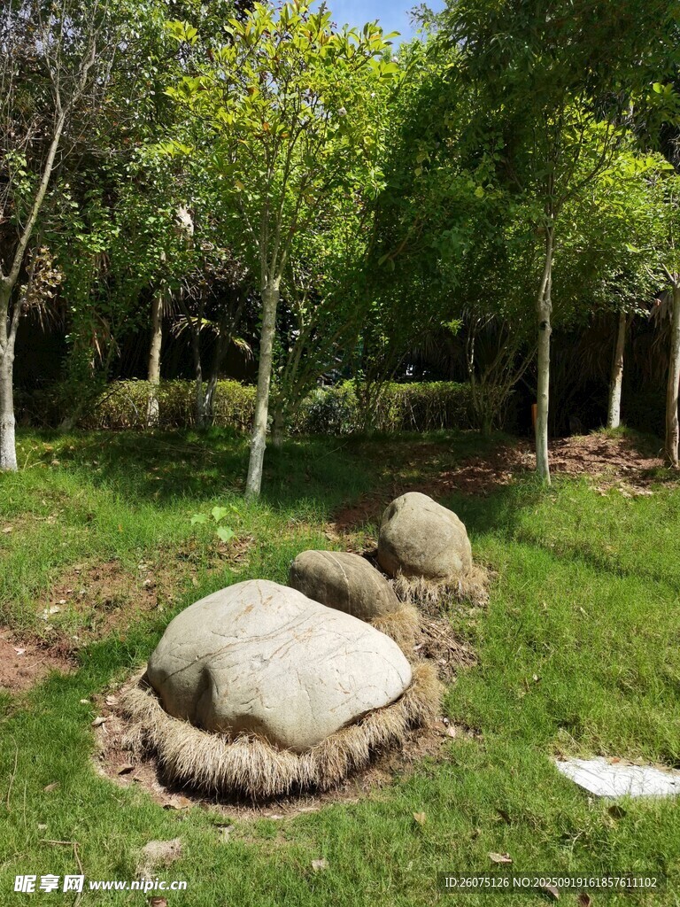 草地上的別致石頭景觀