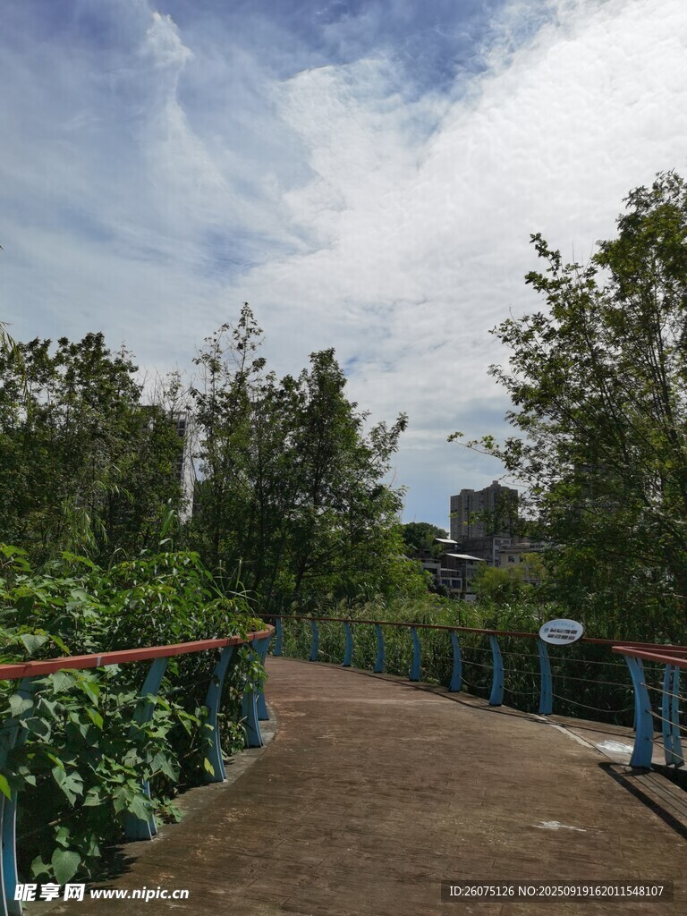 鄉(xiāng)間小徑綠樹相伴
