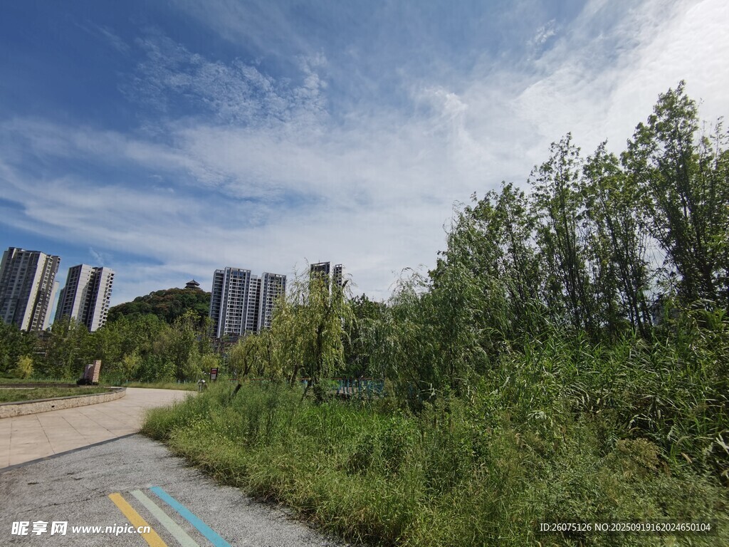 城市邊緣的小徑與綠植