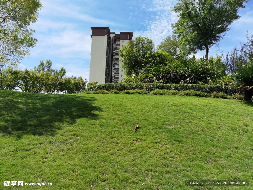 綠草如茵旁的高樓建筑