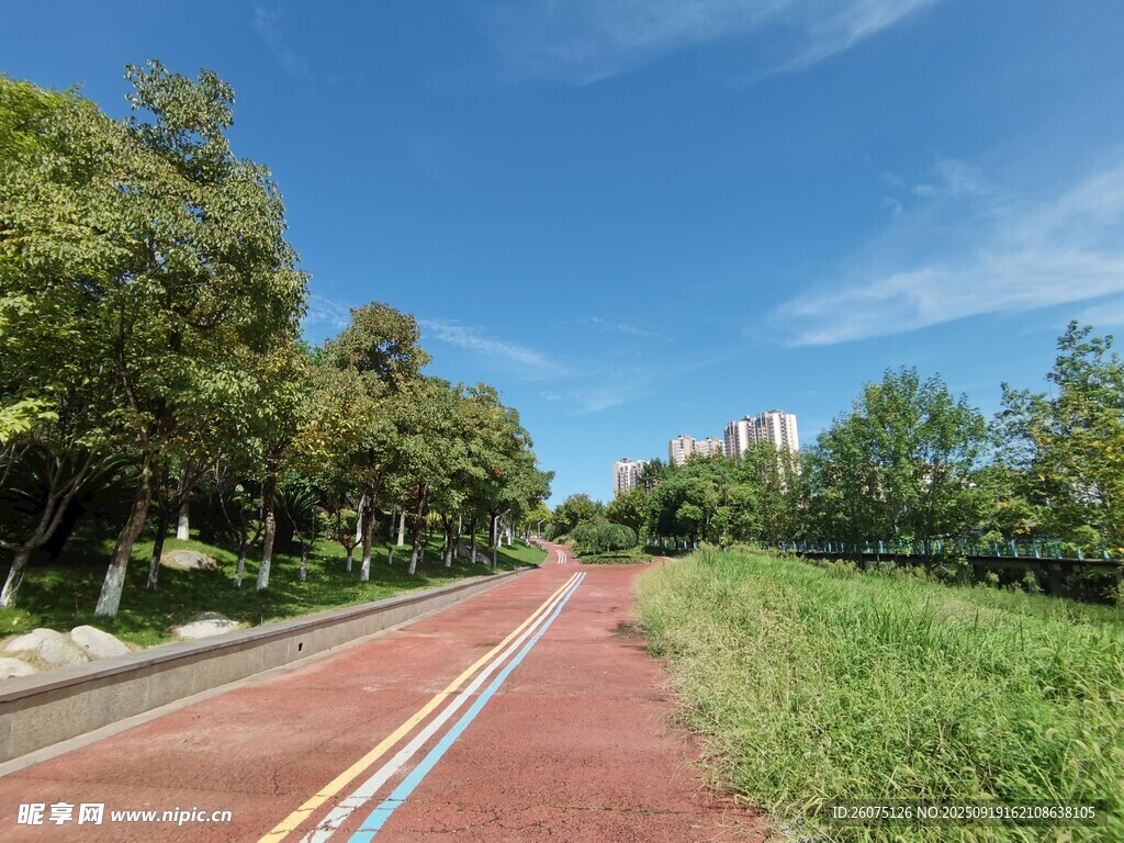 城市中的紅色騎行專用道路