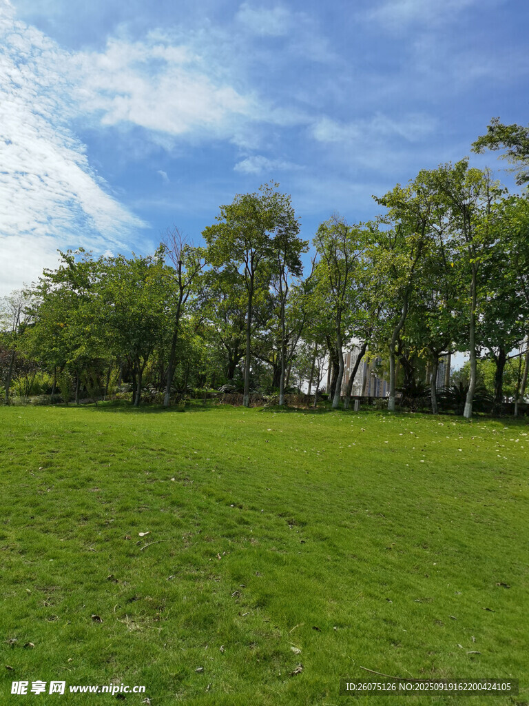 綠野樹林間的清新景致