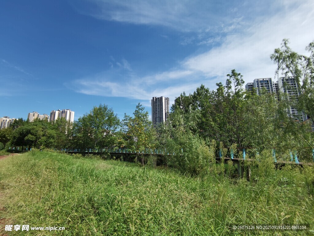 城市邊的綠野風光