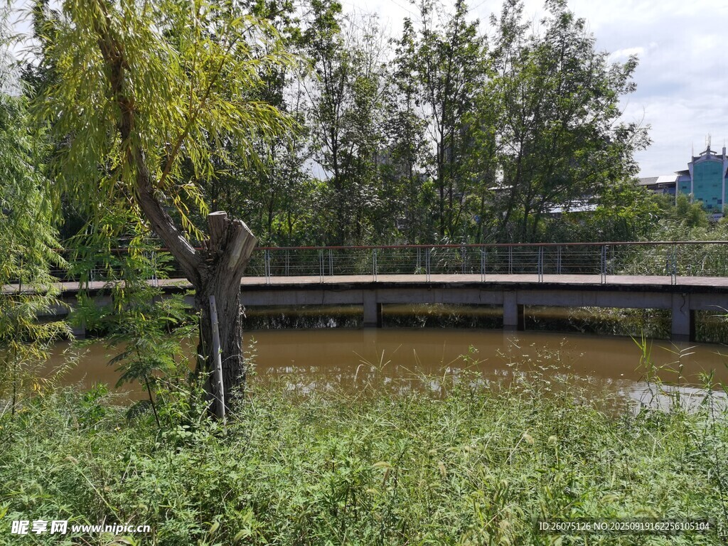 湖畔綠樹環(huán)繞的寧靜景致