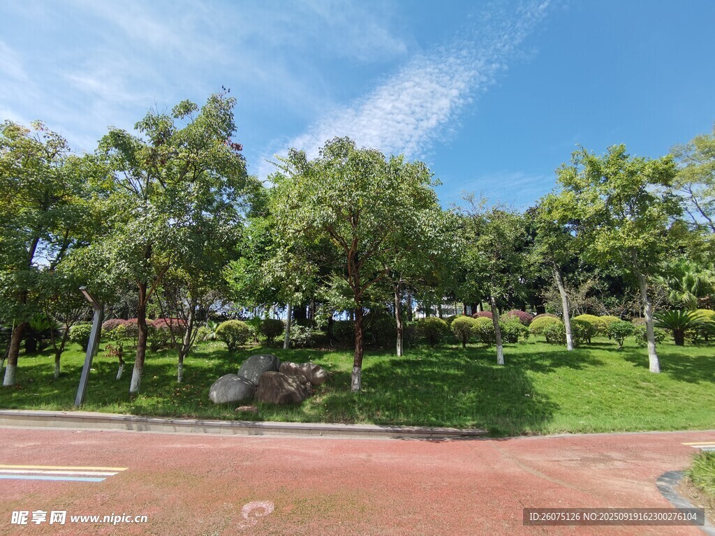 公園綠意景致