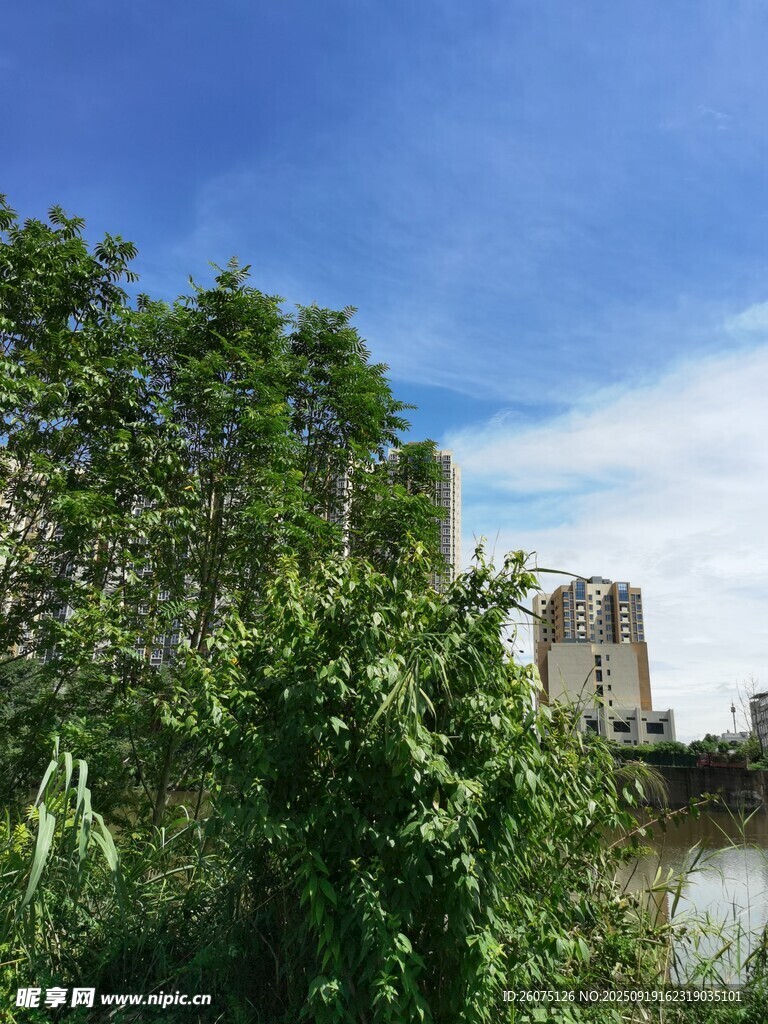 綠樹(shù)掩映下的河畔建筑