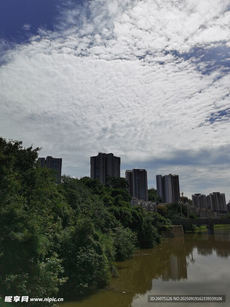 河畔城市風光與蔥郁綠樹