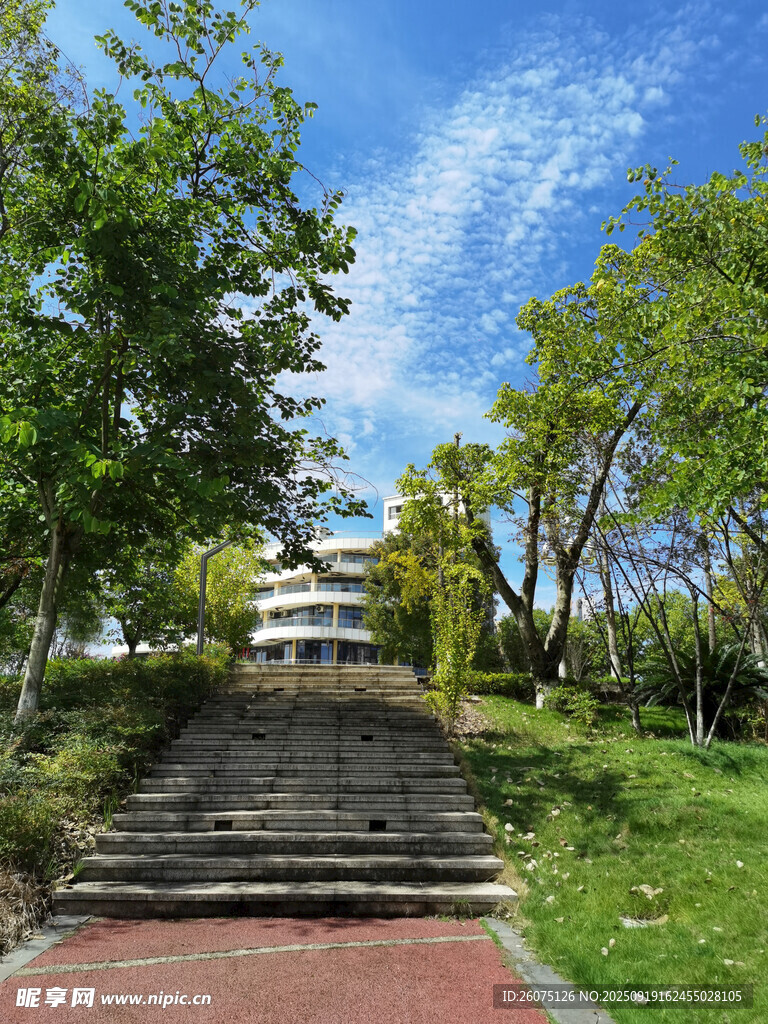 公園中的步道與蔥郁樹木