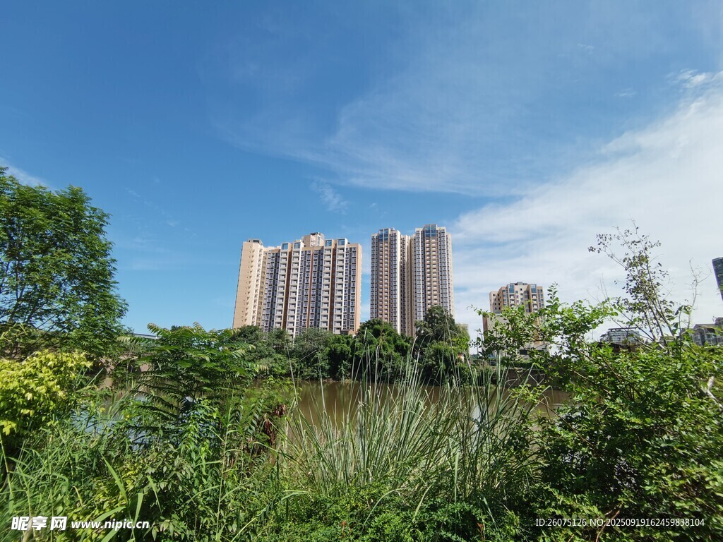 城市高樓旁的自然綠意