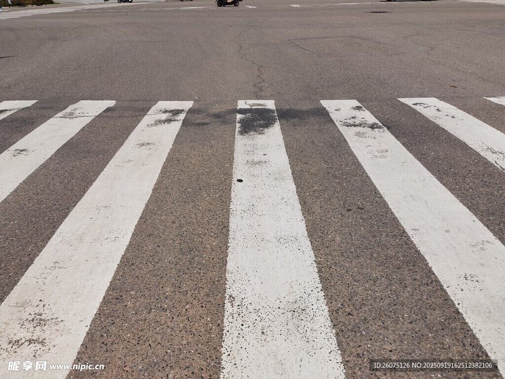 城市道路上的白色斑馬線