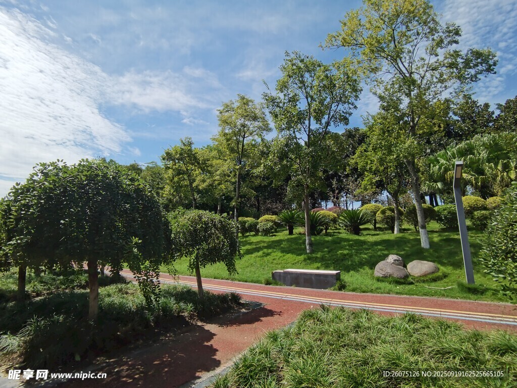 城市中的靜謐綠意公園